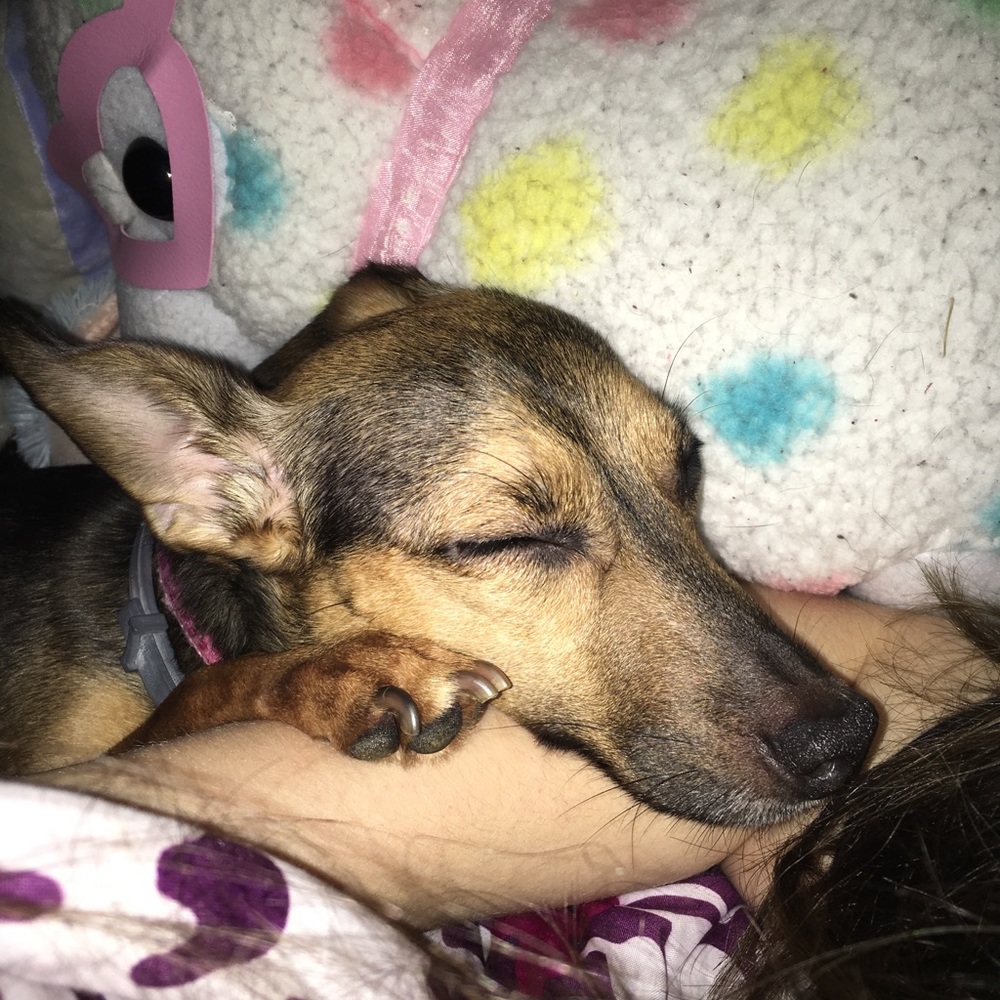 Meet your Posher, Courtney